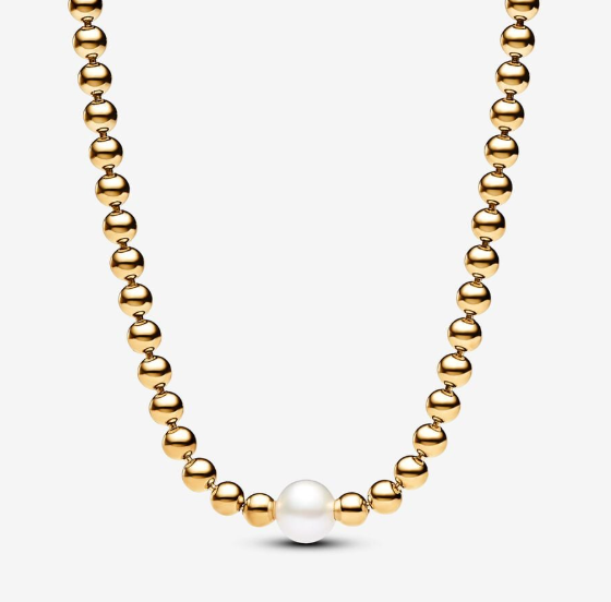 Pearl & Collier Necklace
