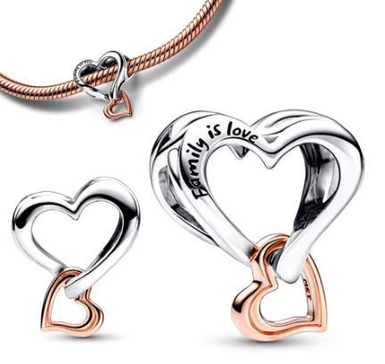 Family Is Love Charm - 925 Sterling Silver with Rose Gold Detail
